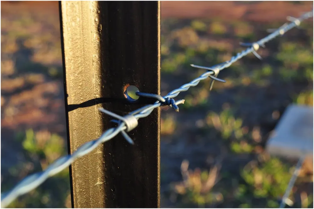 Barbed Wire Used as Fencing