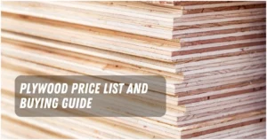Plywood Price List in Philippines