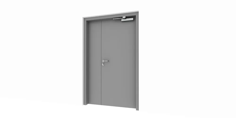 What is Steel Door