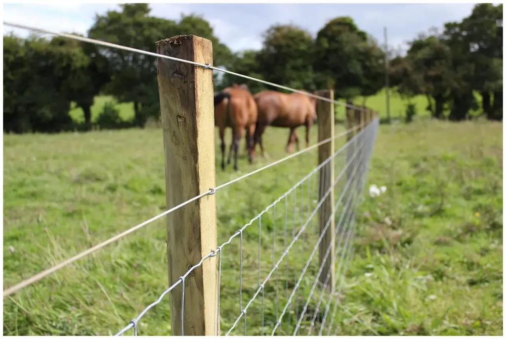 Agricultural And Garden Fencing Uses