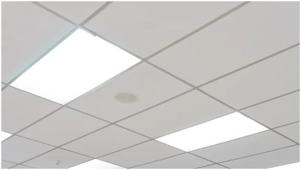 Type of Ceiling Tiles